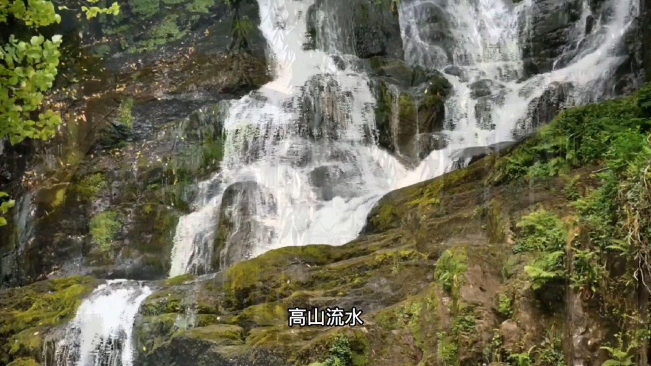 博物馆小偷